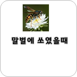 말벌에 쏘였을때 병원